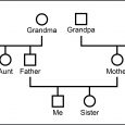 example of genogram genogram