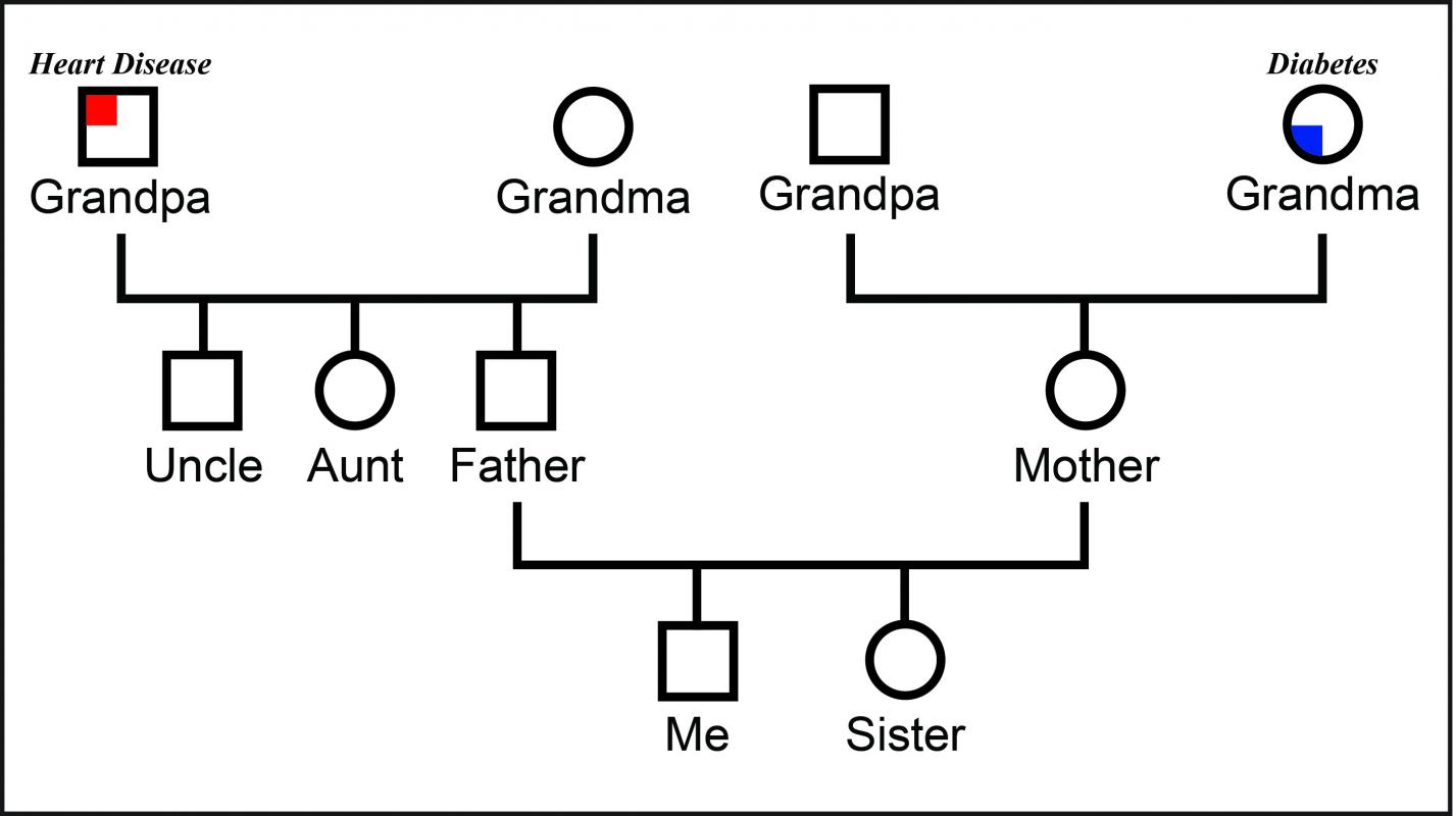 example of genogram