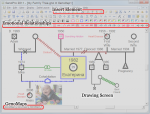 example of genogram interface