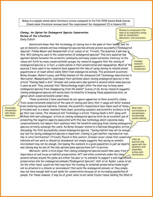 example of literature review
