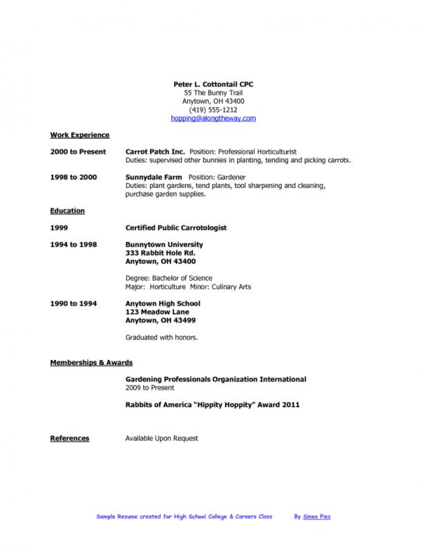 examples of resumes for high school students
