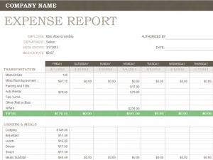 excel expense report weekly expense report