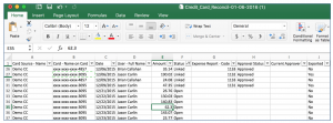 excel expenses report screen shot at pm