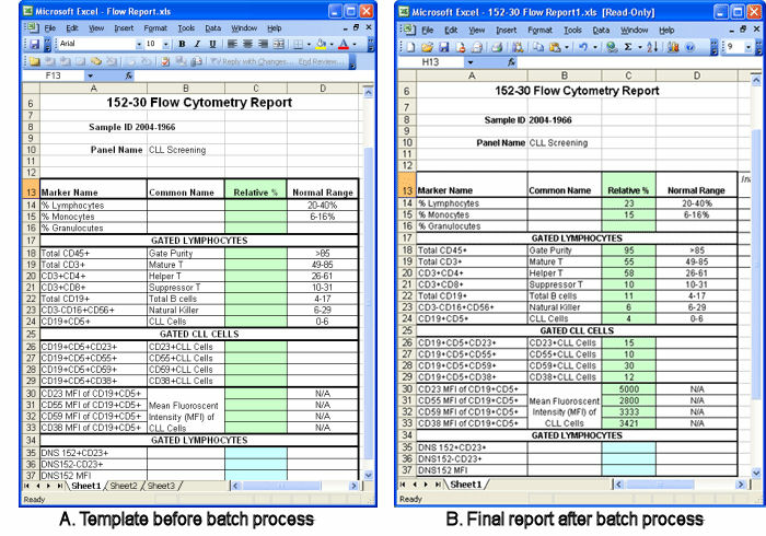 excel reporting template