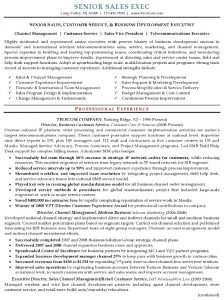executive resume samples resume sample senior sales executive pg