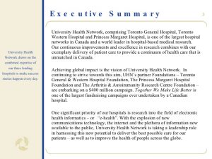 executive summary report example chair in health information chair proposal