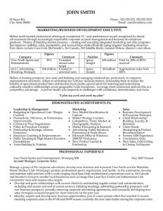 executive summary template doc business development executive resume template premium resume