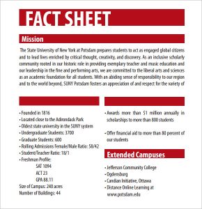 fact sheet template fact sheet templates image 45