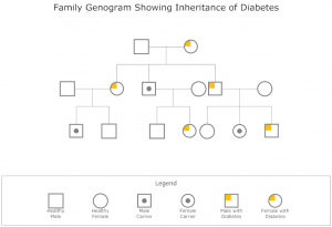 family genogram example genogram example family diabetes