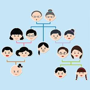 family tree outline