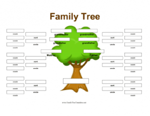 family tree template google docs family tree with aunts uncles cousins