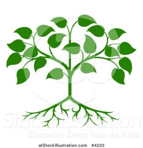 family tree template online vector illustration of a green seedling tree with leaves and roots by atstockillustration