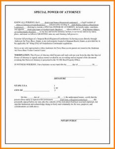 federal resume format free example of power of attorney letter jinapsan power of attorney template fcbd
