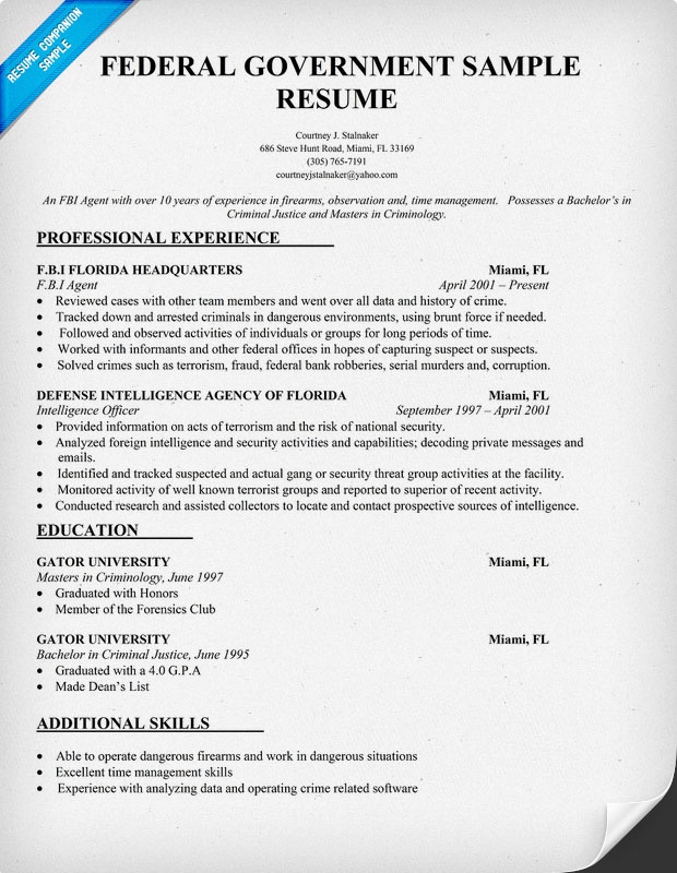 federal resume sample