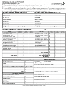 fillable personal financial statement
