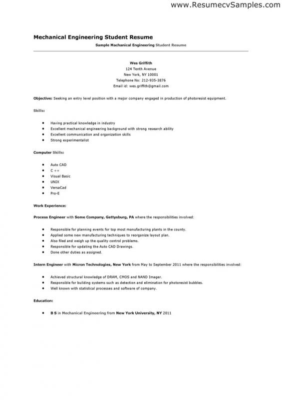 first job resume template