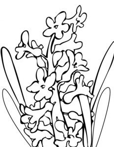 flower coloring pages pdf ausmalbilder algen gratis