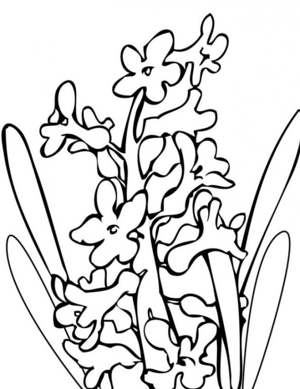 flower coloring pages pdf