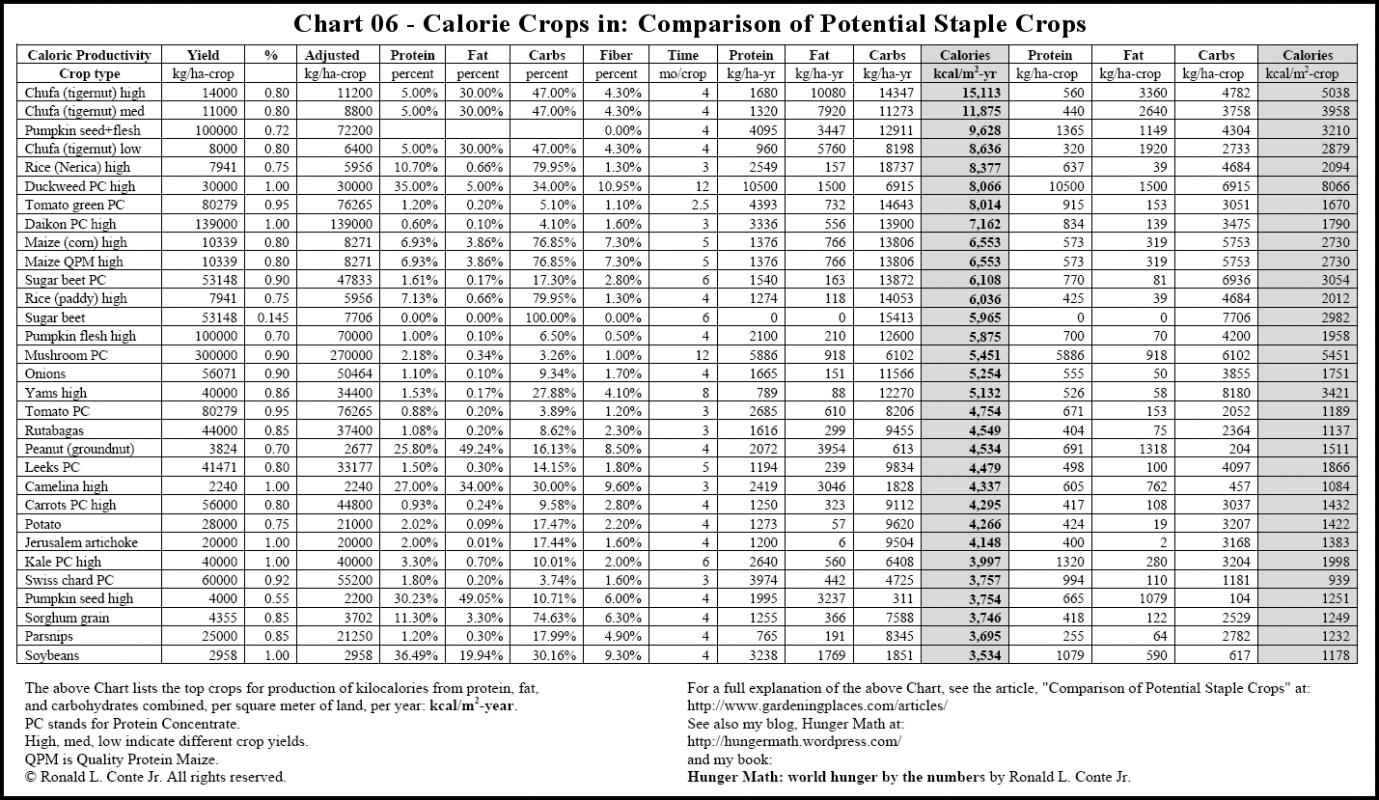 food calorie chart