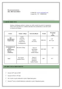 format of reume model resume