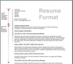 formatting a resume reseume format d