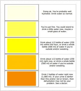 free flyer templates for microsoft word urine color chart template free in pdf