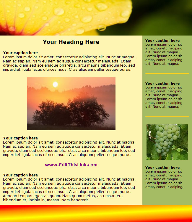 free newsletter templates