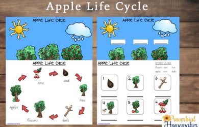 free printable lesson plans for toddlers apple life cycle