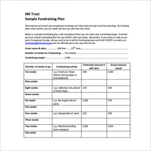fundraising plan template ms trust fundraising plan pdf free download