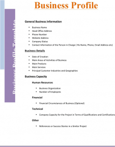 generic job application form business profile template