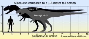 height vs weight chart allosaurus size