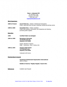 high school student resume examples basic resume templates for high school students template