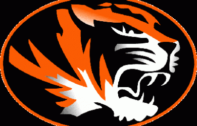 home builder logo tampa tigers logo