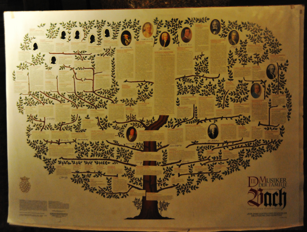how to create a family tree