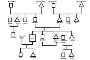how to make an ecomap genogram