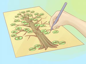 how to make family tree draw a family tree step version