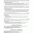 hybrid resume template sample resume entertainment executiveb