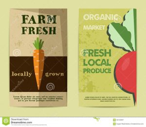 id card template word set stylish farm fresh flyer template brochure design mock up design retro colors best natural shop organic fairs eco
