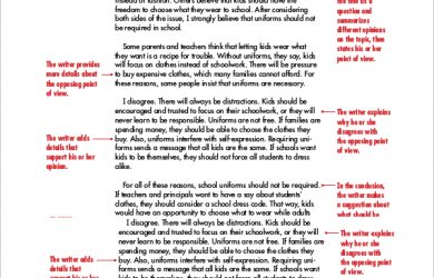 informative essay example sample persuasive essay paper example
