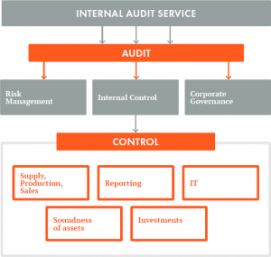 internal audit report picture