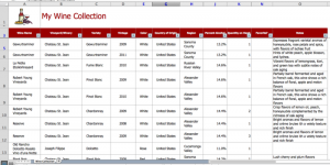 inventory spreadsheet template screen shot at pm