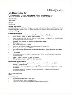 job description format accounts assistant job description