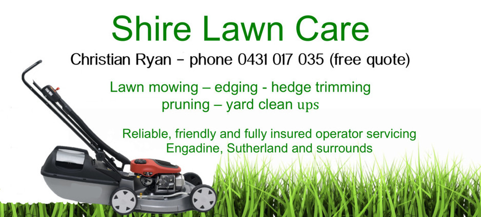 lawn care flyers