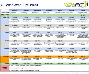 life plan template life plan template oxpvqo
