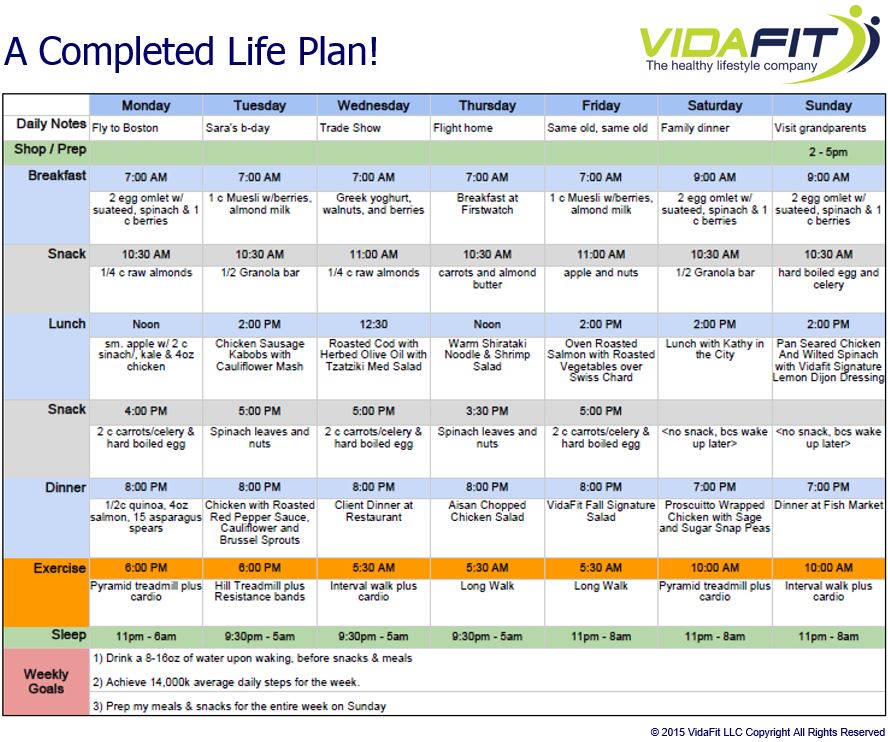 life plan template