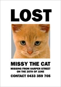lost cat poster template