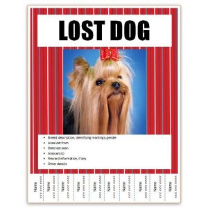 lost dog template cedfdcafabeccfaccc large