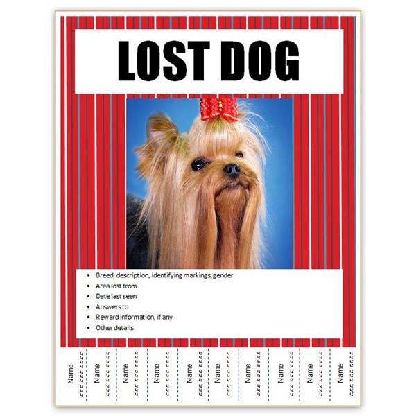 lost dog template