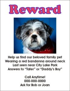 lost dog template lost dog flyer