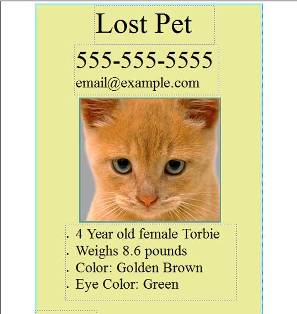 lost pet template